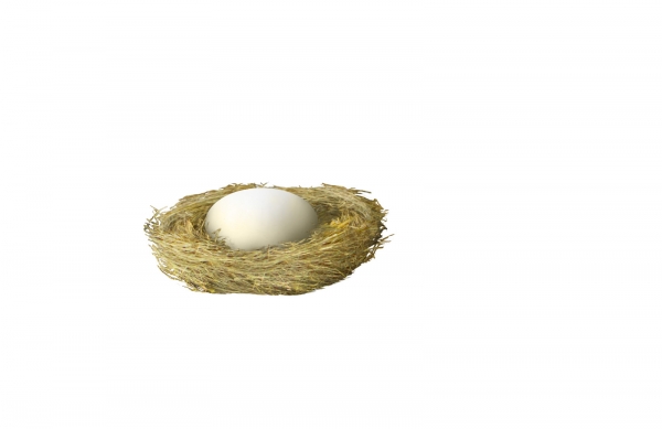 Creation of My egg: Step 8